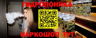 PSILOCYBIN Заводоуковск