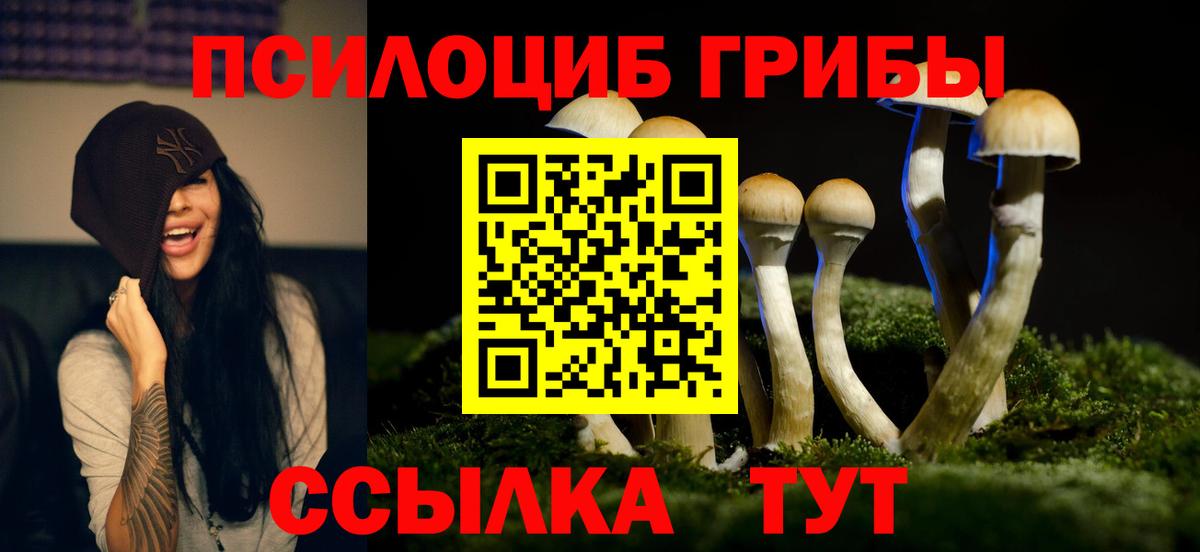 Миасс  Псилоцибиновые грибы прущие грибы  Вход с VPN  Галлюциногенные грибы ЛСД 
