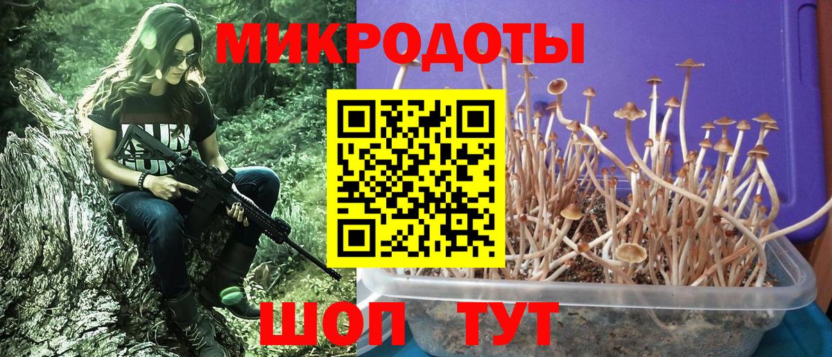 Галлюциногенные грибы Magic Shrooms Миасс